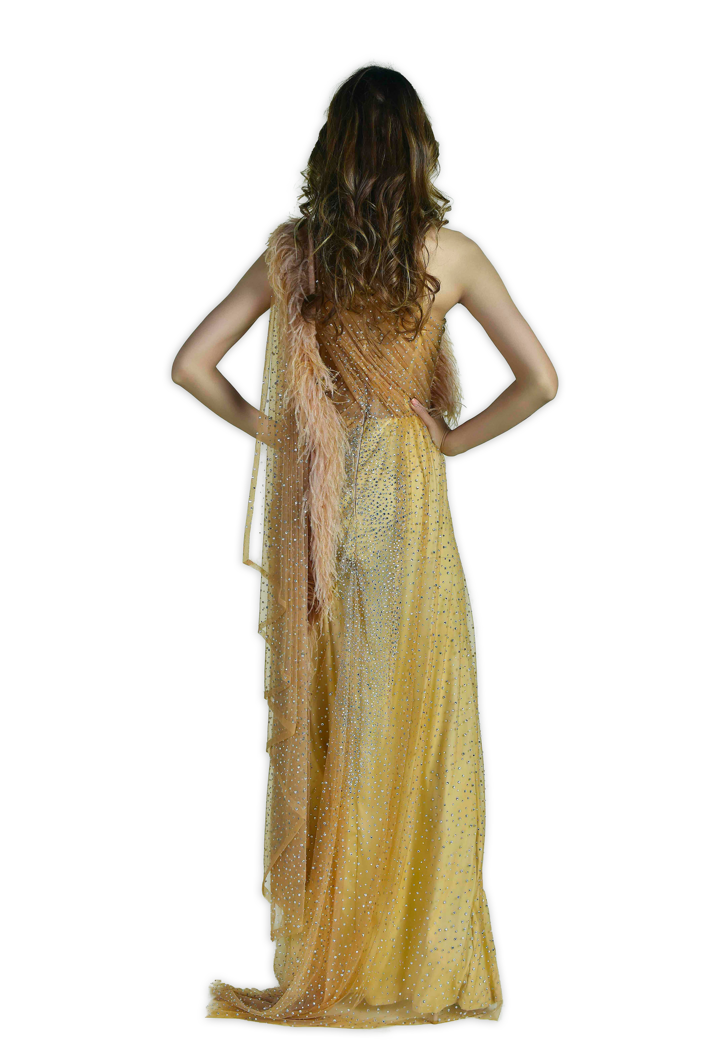 Dazzle Saree