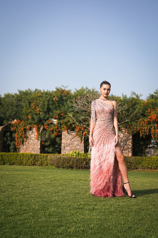 Rose Feather Gown