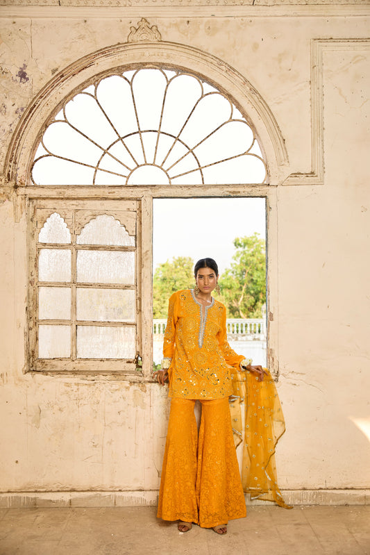 Cheddar Mirrorwork Chikankari Sharara